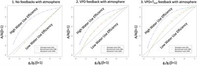 On the Treatment of Soil Water Stress in GCM Simulations of Vegetation Physiology